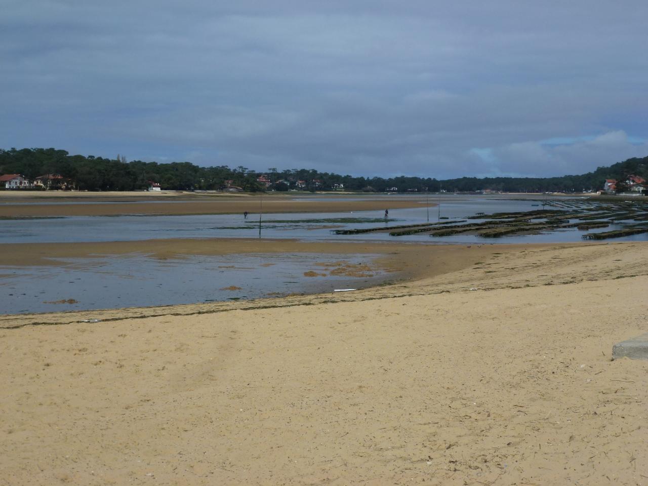 P1110560