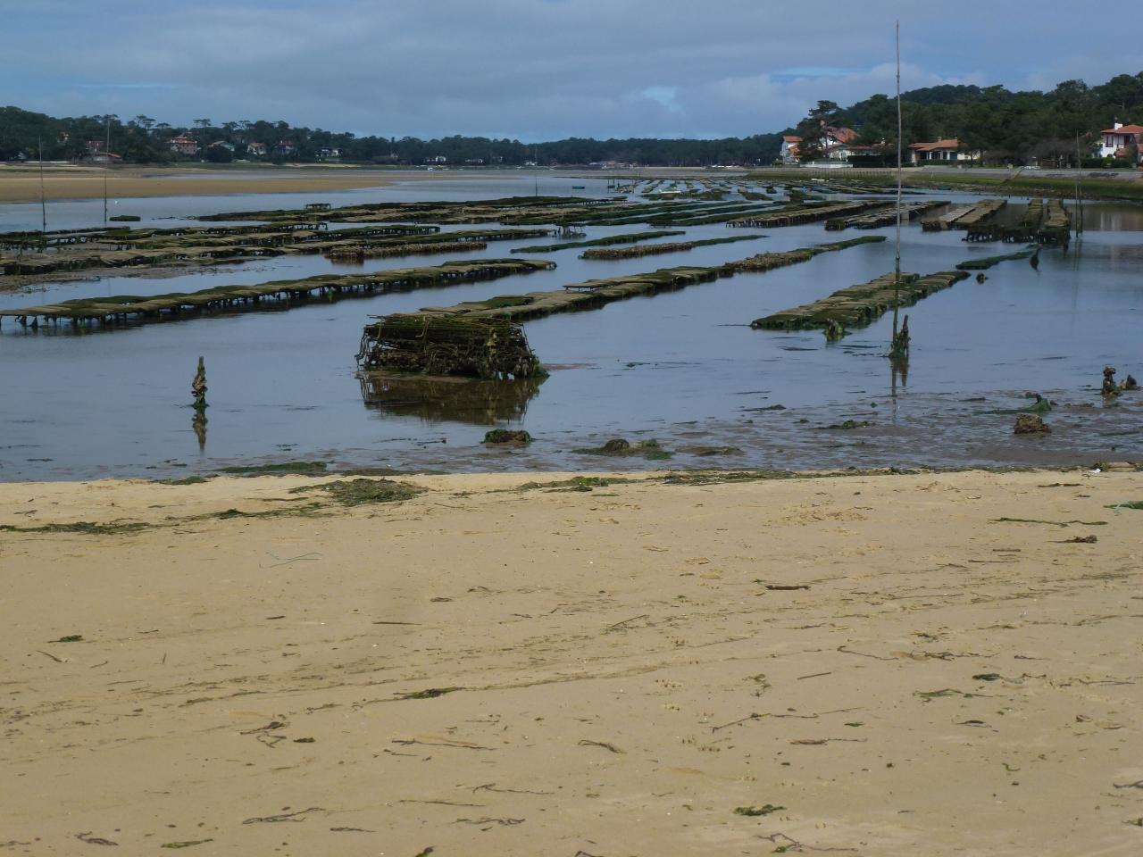 P1110564