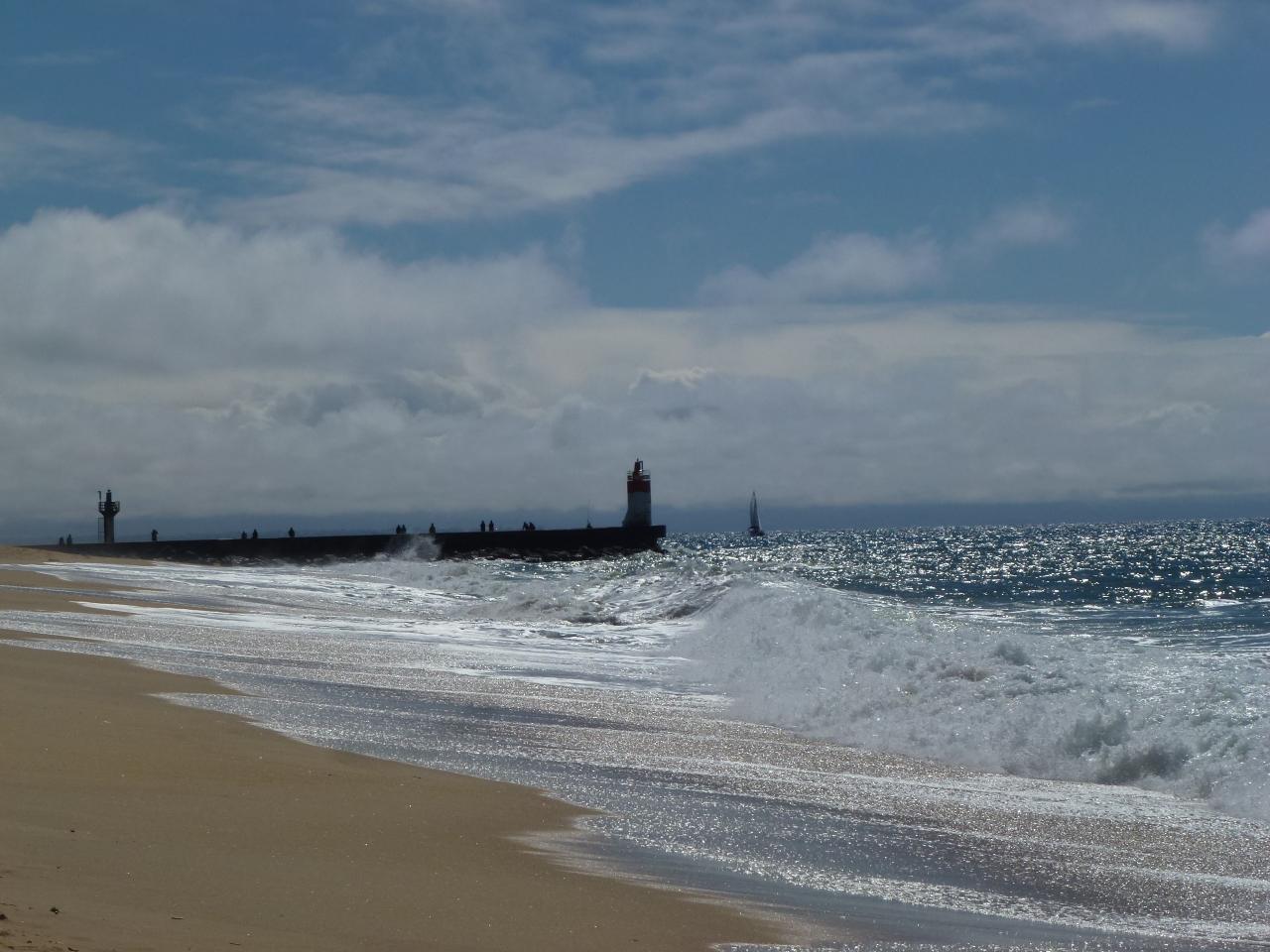 P1110585